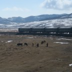 Trans-Mongolian Railway (Russia, Mongolia & China)