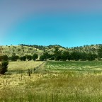 Melbourne – Sydney